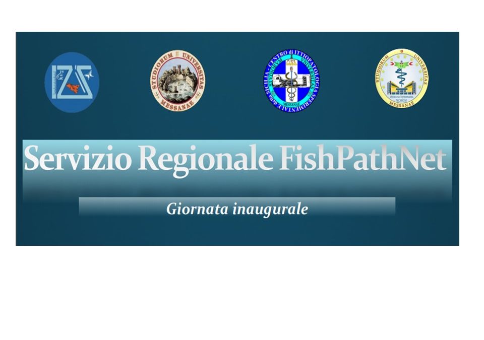 Conferenza FishPatNet