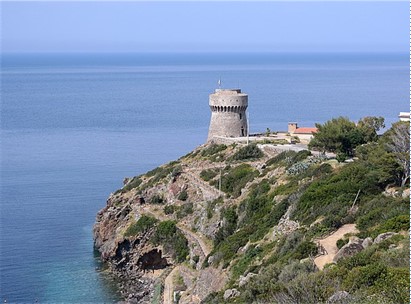 Capraia Smart Island Filiera Ittica Sostenibile sbarca sul web