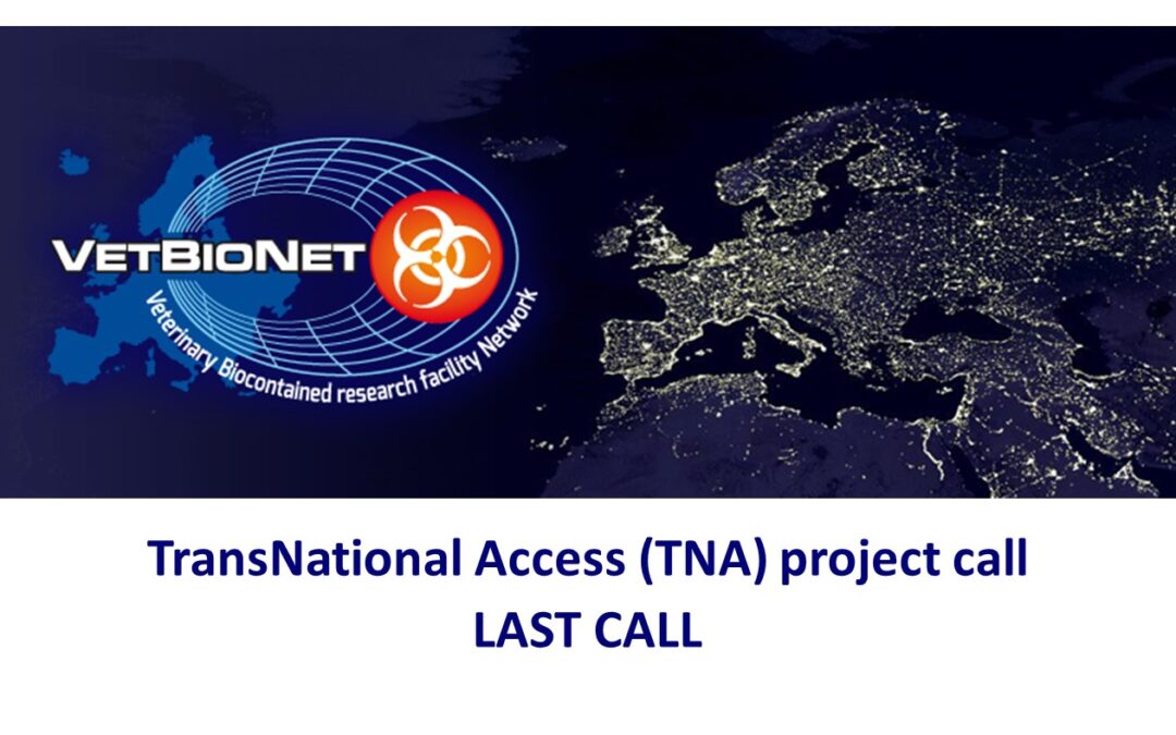 Last Call TransNational Access
