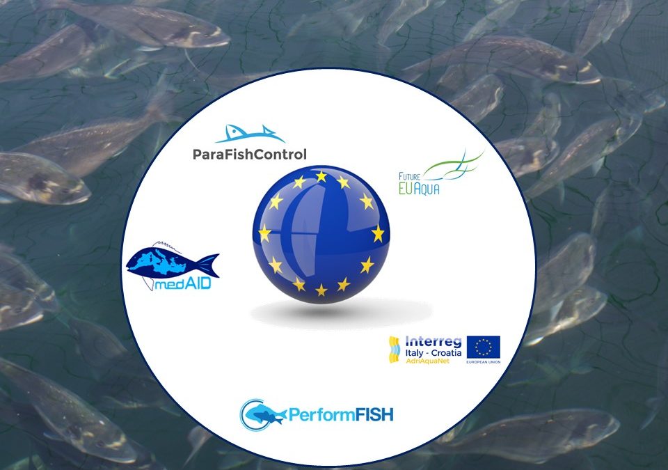 Workshop progetti H2020 EU