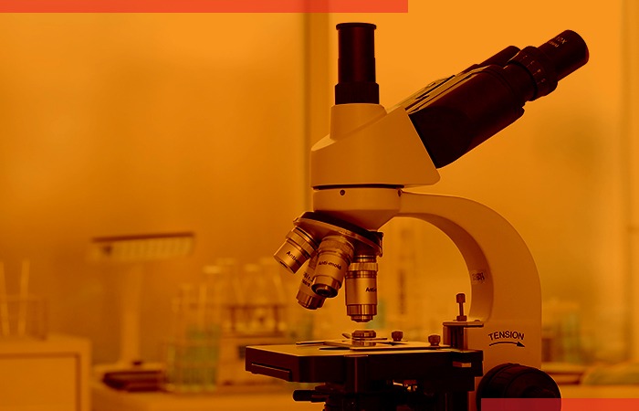 15th International Congress of Parasitology – ICOPA 2022