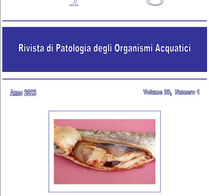 Volume 20 Numero 1
