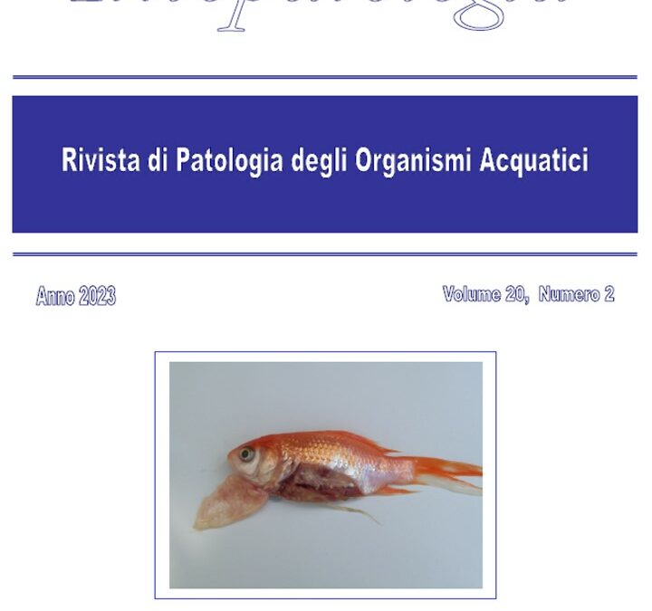 Volume 20 Numero 2