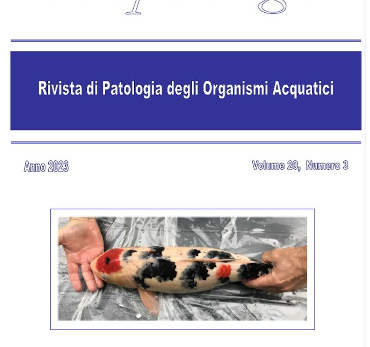 Volume 20 Numero 3