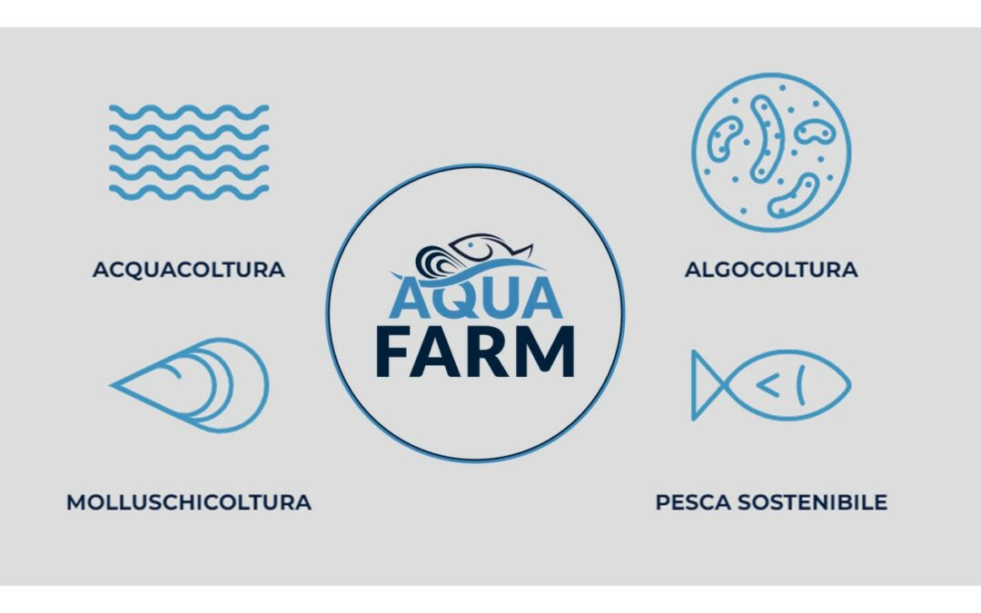 AQUAFARM 2024