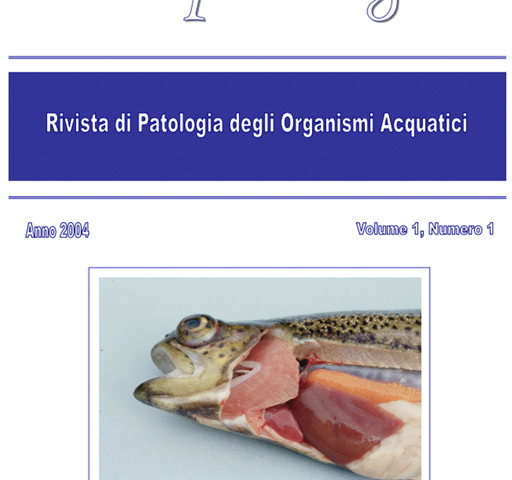 Volume 1 Numero 1