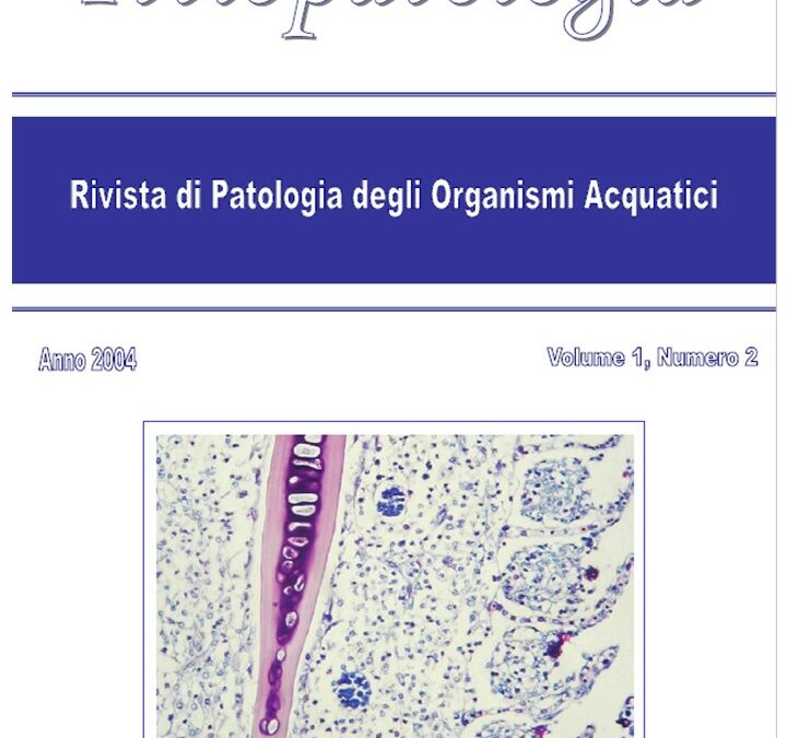 Volume 1 Numero 2