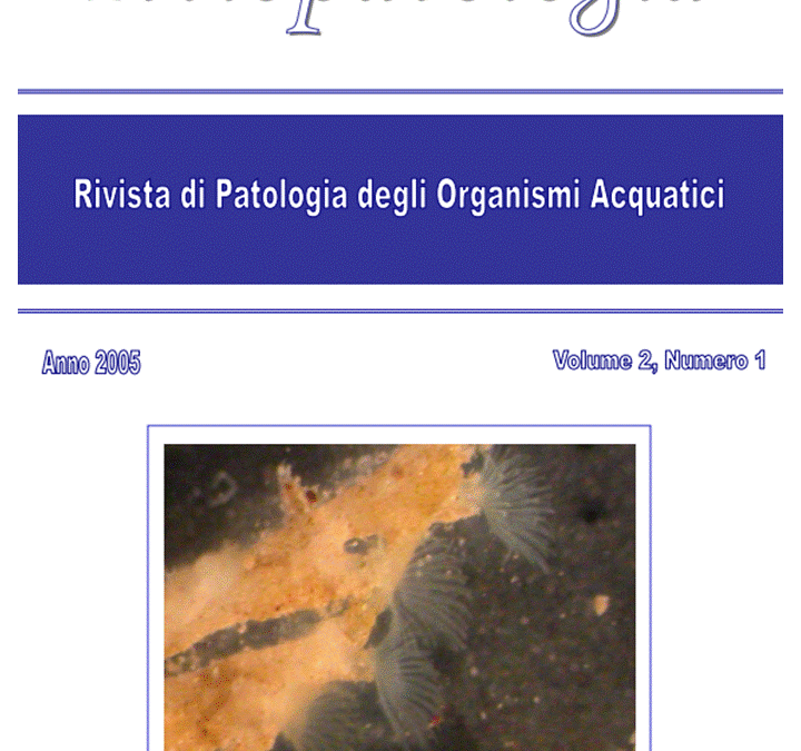 Volume 2 Numero 1