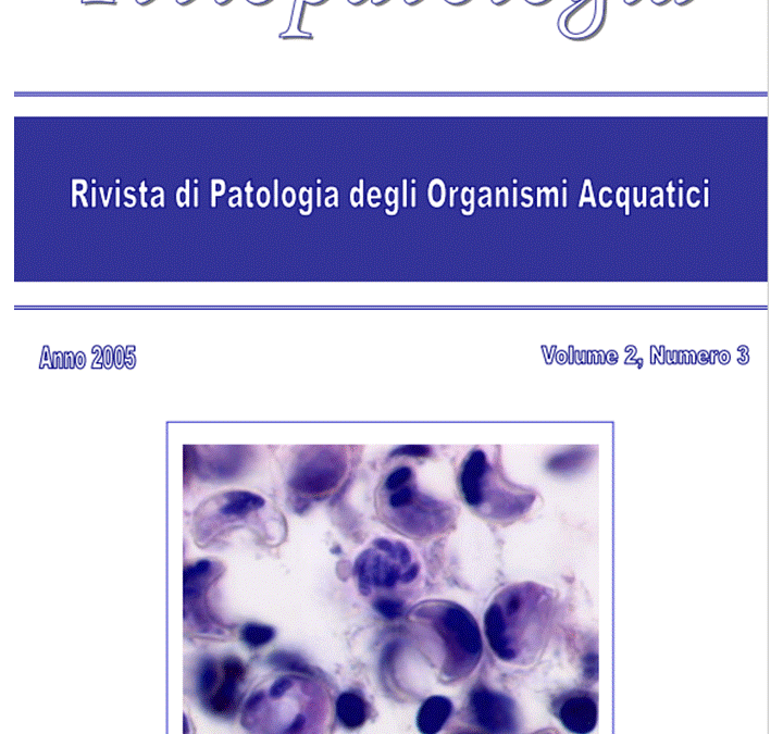 Volume 2 Numero 3