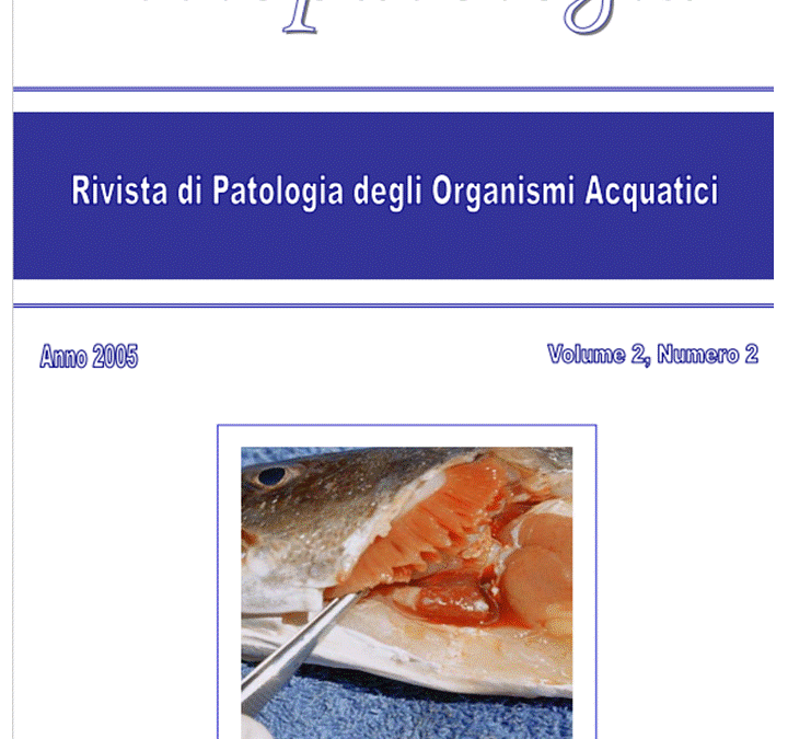 Volume 2 Numero 2