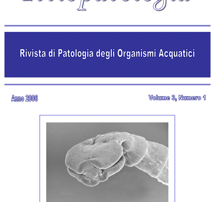 Volume 3 Numero 1-EN