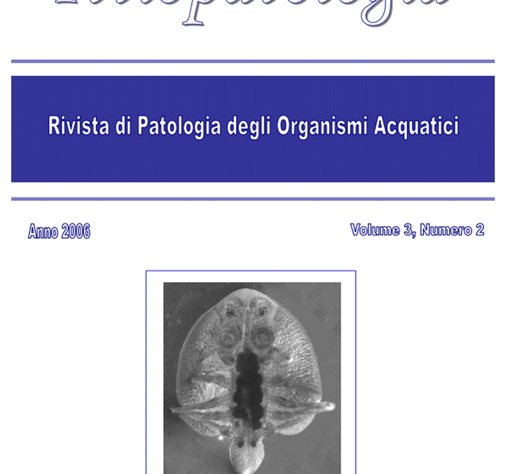 Volume 3 Numero 2-EN
