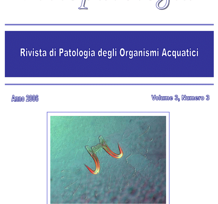 Volume 3 Numero 3-EN