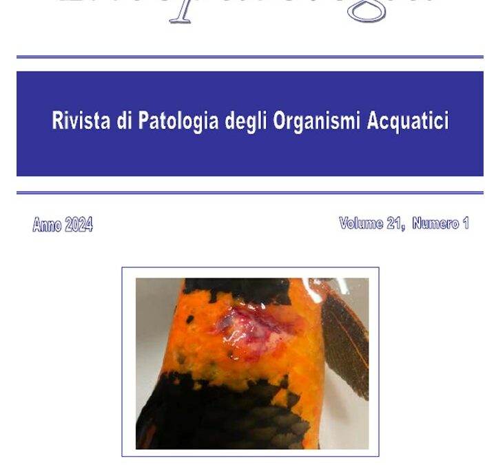 Volume 21 Numero 1