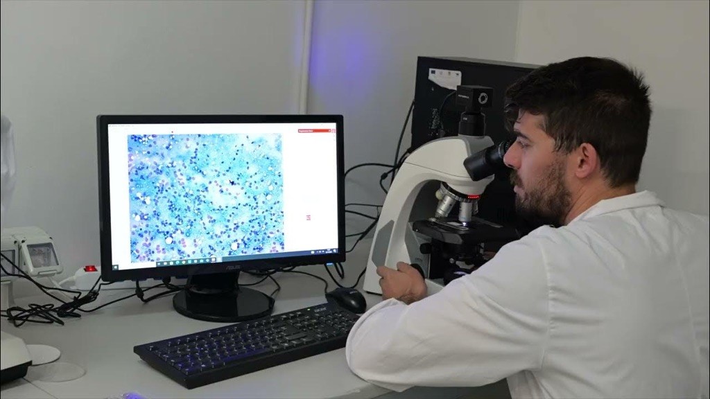 Università di messina: Corso di laurea triennale in Marine Biology and Blue Biotechnologies