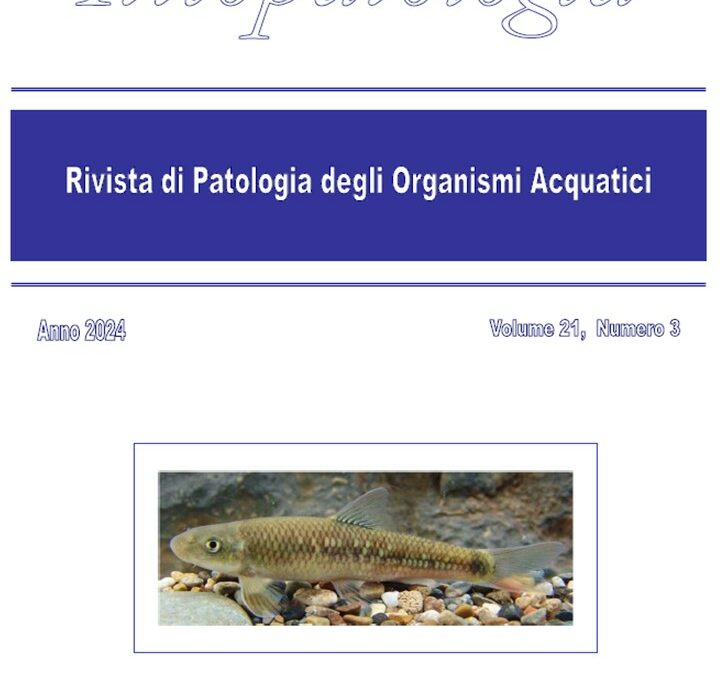 Volume 21 Numero 3