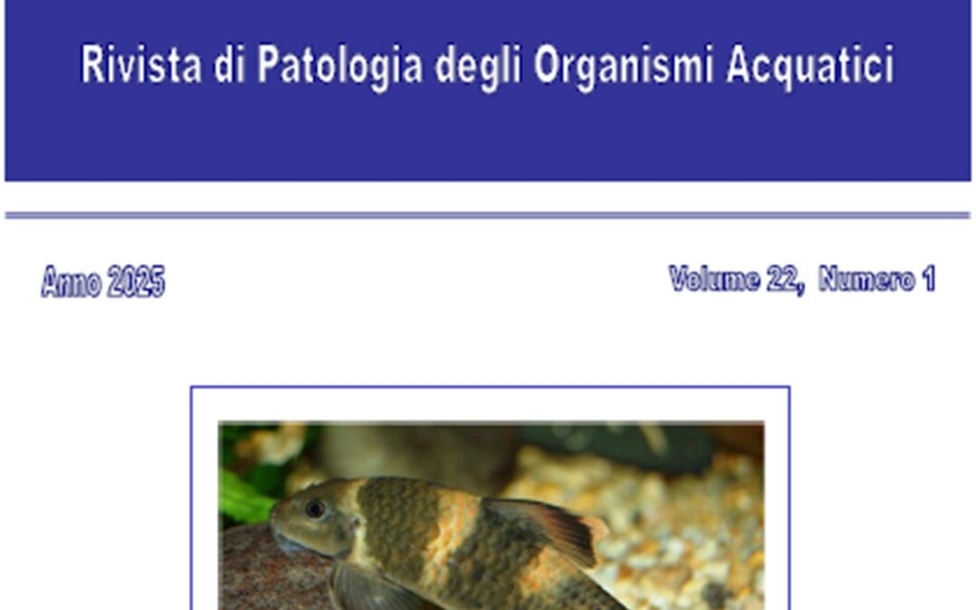 Volume 22 Numero 1