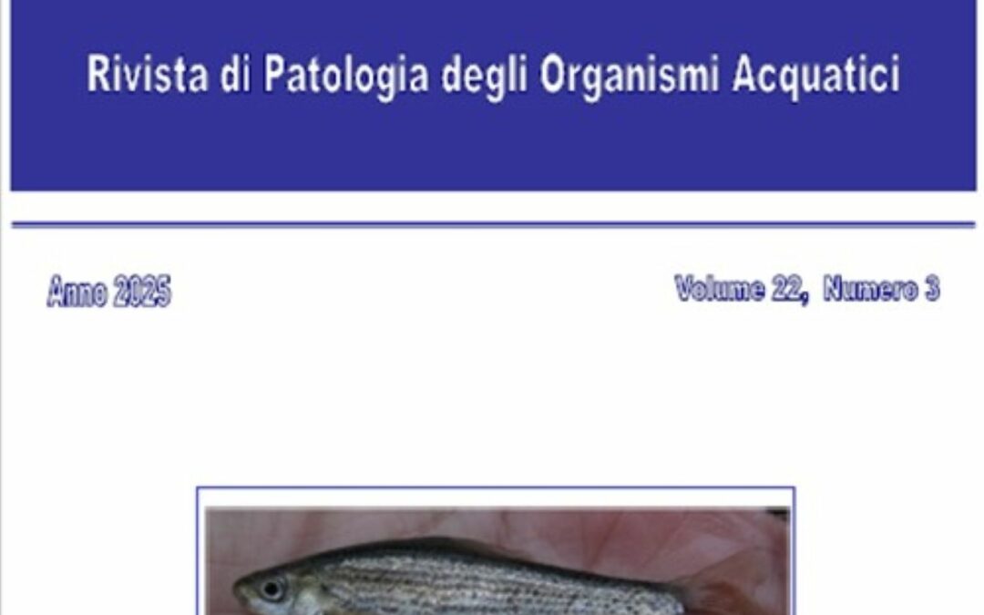 Volume 22 Numero 3