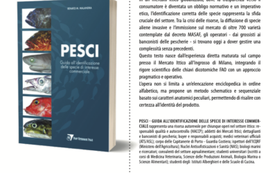 “Pesci”: il nuovo libro di Renato M. Malandra dedicato all’identificazione delle specie di interesse commerciale