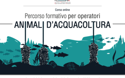 [avvio corso online IZSVe] Percorso formativo obbligatorio per operatori di ANIMALI D’ACQUACOLTURA ai sensi del Decreto del Ministero della Salute del 6 settembre 2023 e s.m.i.