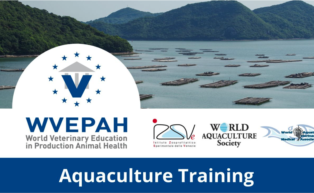 Corso WVEPAH “Health management and biosecurity in main Mediterranean acquaculture species”