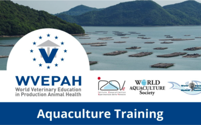 Corso WVEPAH “Health management and biosecurity in main Mediterranean acquaculture species”